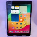 iPad Gen 9 2021 64GB ငွေရောင် 4G + Wifi 98% ဘက်ထရီ 97% (မျက်နှာပြင် ခြစ်ရာများ) 
