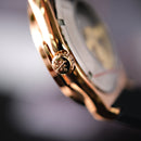 Đồng hồ cơ nam Alexander Ferros Urban Fusion 6161