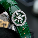 Alexander Ferros Urban Fusion 6161 အမျိုးသားသုံး စက်ပိုင်းဆိုင်ရာနာရီ