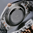 အမျိုးသားသုံး စက်ပိုင်းဆိုင်ရာနာရီ Alexander Ferros 8032D