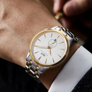 Đồng hồ cơ I&W Carnival Extraordinary Master IW621G-DT-1