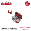 JBL Endurance Peak 3 နားကြပ်များ 